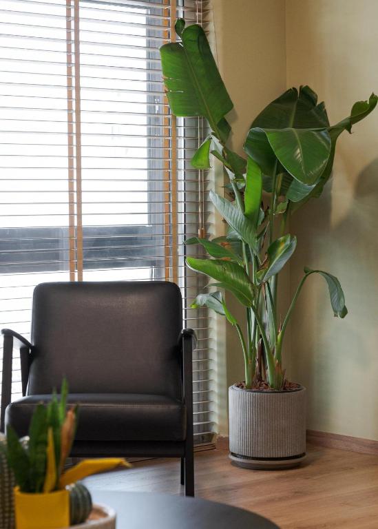 Aria Luxury Apartment Διαμέρισμα έως 4 άτομα