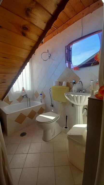 Ξενώνας ΔΡΟΣΟΣΤΑΛΙΑ Some of Attic